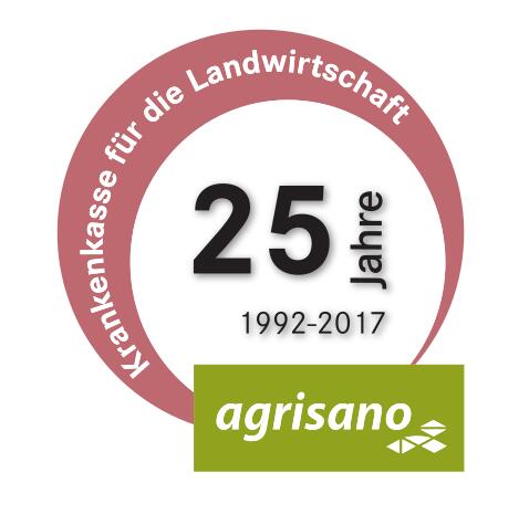 Berater als Bindeglied