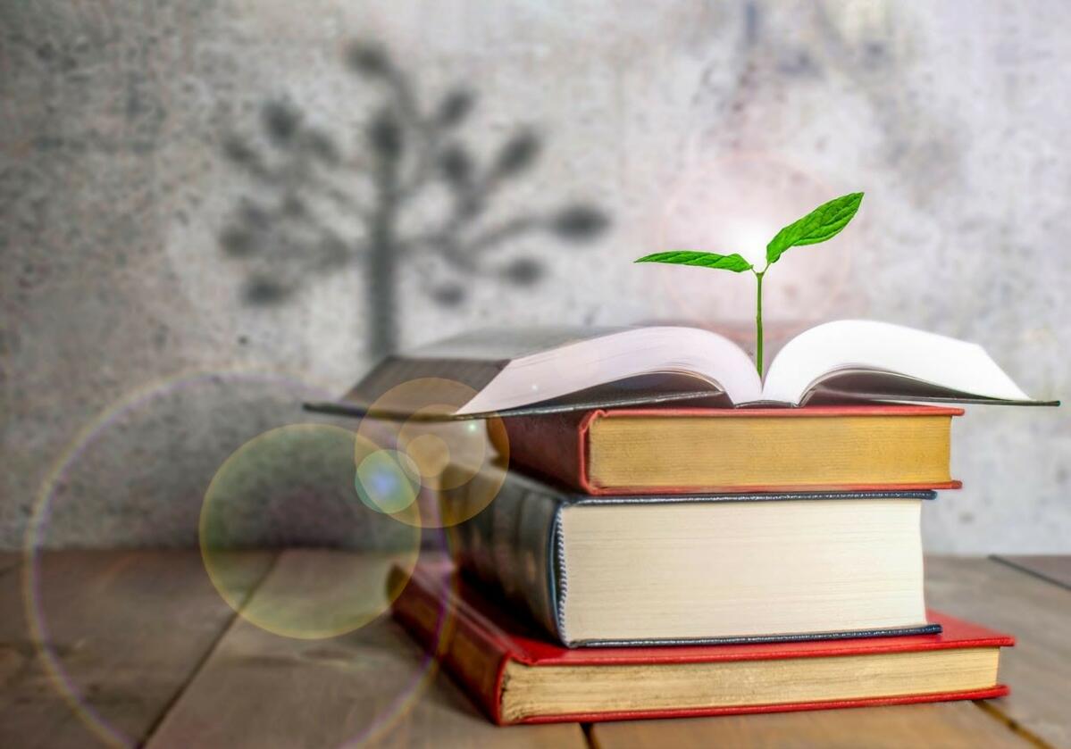 Une formation pratique à l’intention du secteur agricole