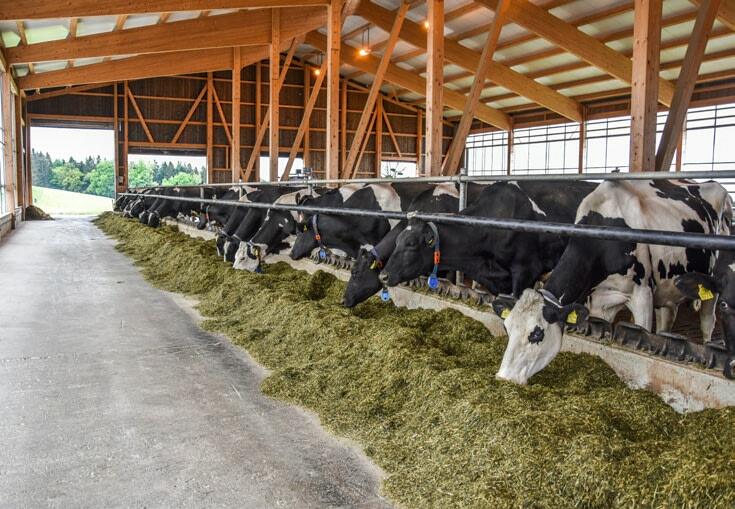 Si la ration n’est pas suffisamment structurée, un tampon peut aider.