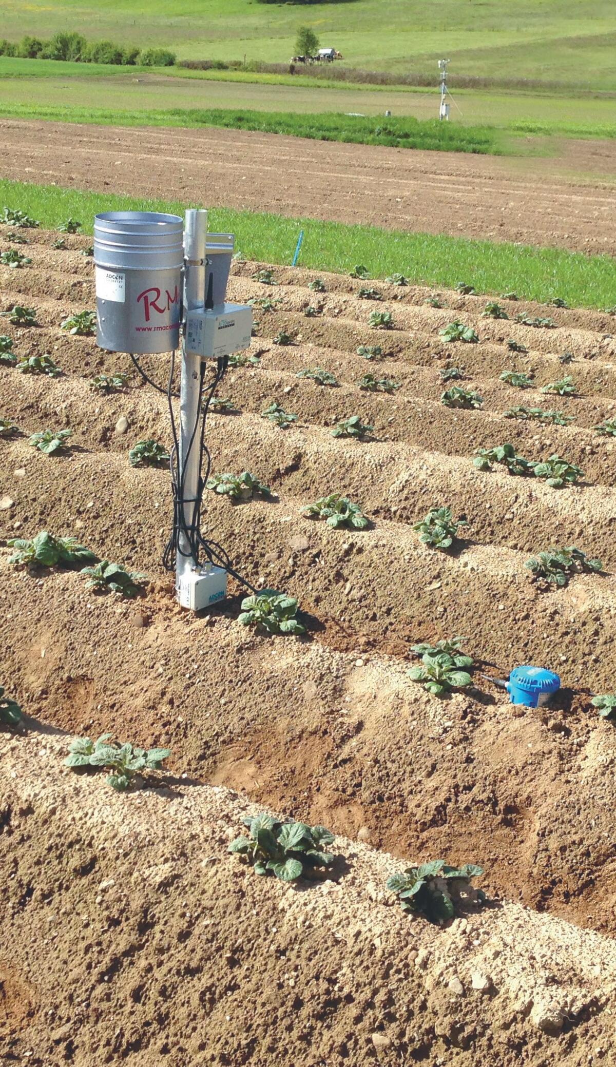 Les sondes fournissent des informations sur l’humidité du sol. 