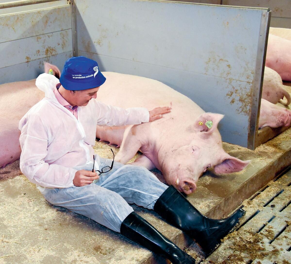 Bei seinen Betriebsbesuchen versetzt sich Kees Scheepens in die Situation der Schweine hinein.