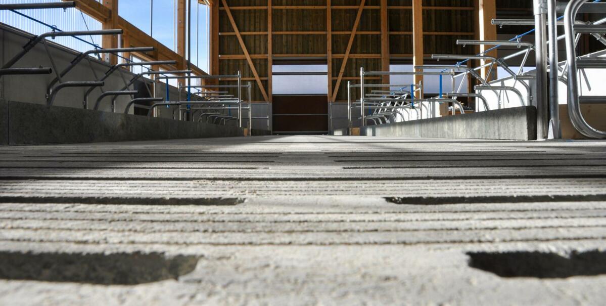 In den Ablaufkanälen unter den Spaltenböden fliesst die Gülle in die Vorgrube.