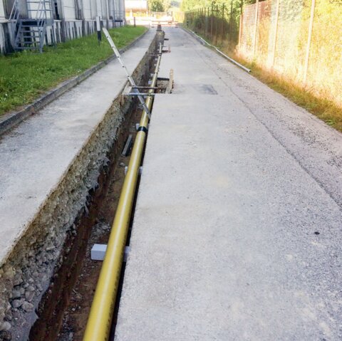 4462011_image_4_7.jpg