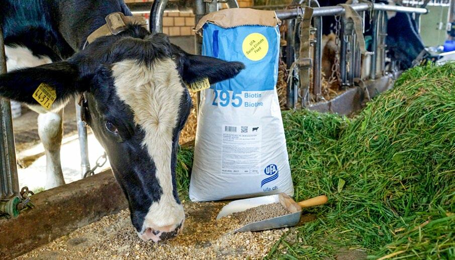 Zehn Prozent weniger Methanausstoss: UFA 295 Biotin USCF schont das Klima.