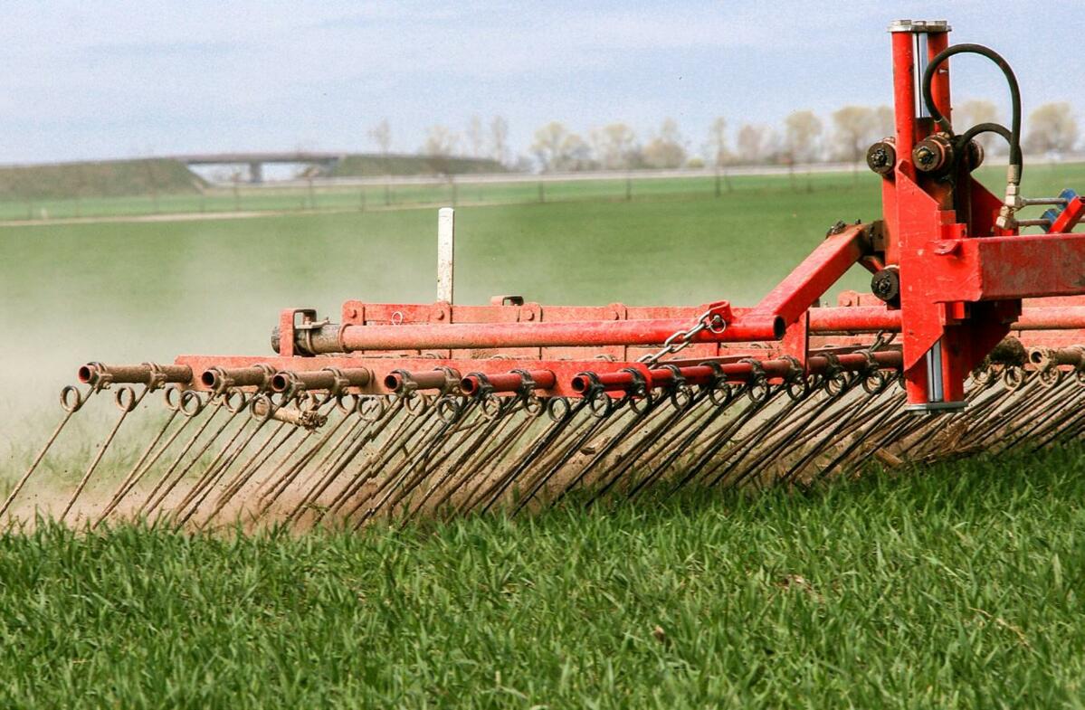 Les c&#xE9;r&#xE9;ales panifiables bio continuent &#xE0; b&#xE9;n&#xE9;ficier d&#x2019;une bonne demande.
