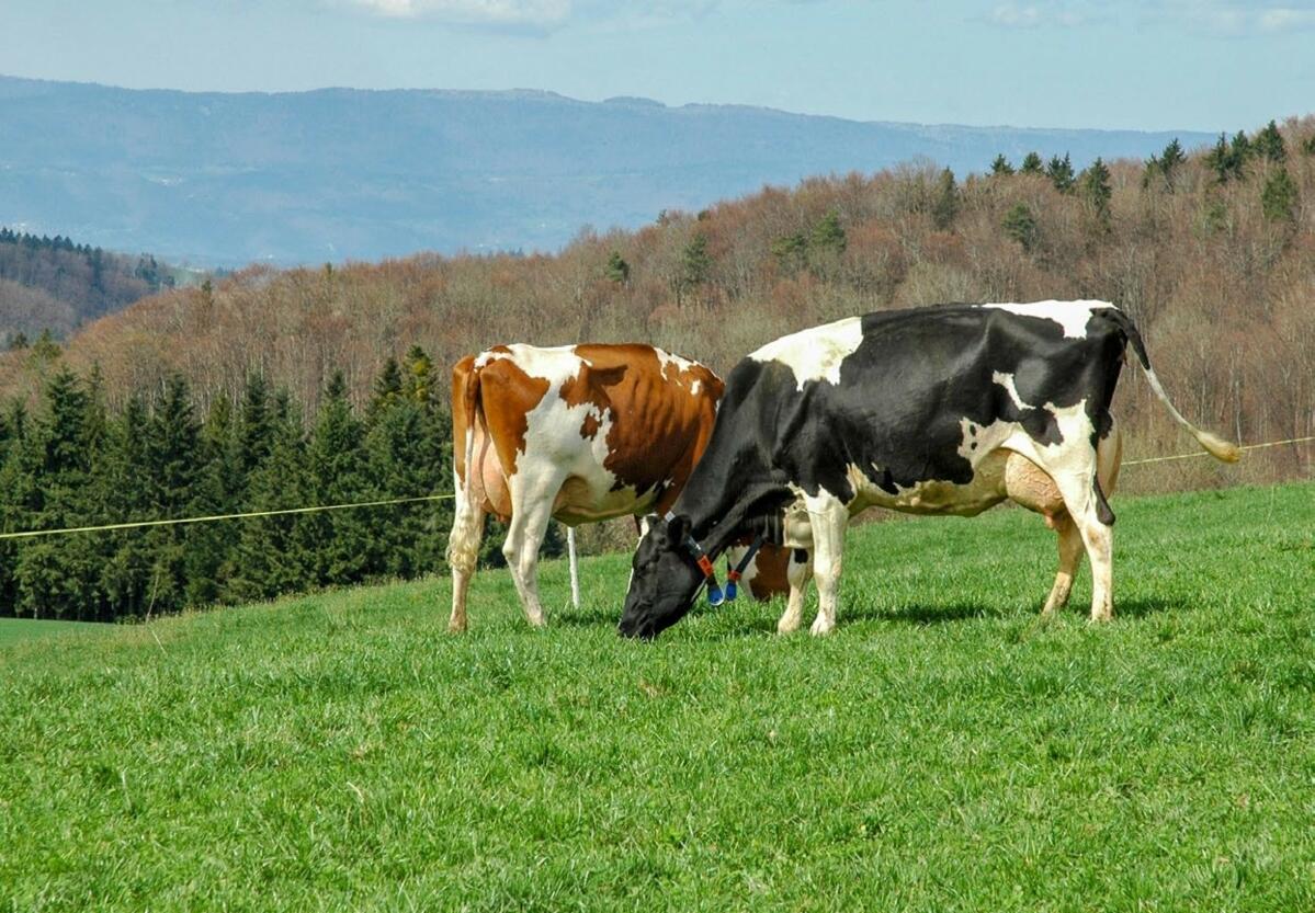 Le module Journal des p&#xE2;tures et des sorties sera accessible sur&#xA0;


Barto dans le courant du mois de f&#xE9;vrier.&#xA0;