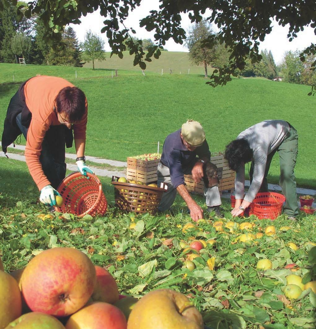Afin d&#x2019;&#xE9;viter les probl&#xE8;mes, les rapports de travail doivent &#xEA;tre clairement r&#xE9;glement&#xE9;s.