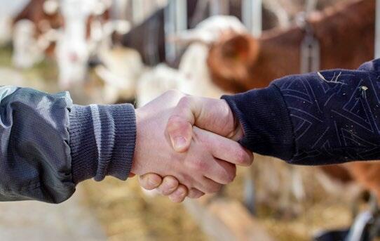 Besiegelt der Handschlag Währschaft und Preis?