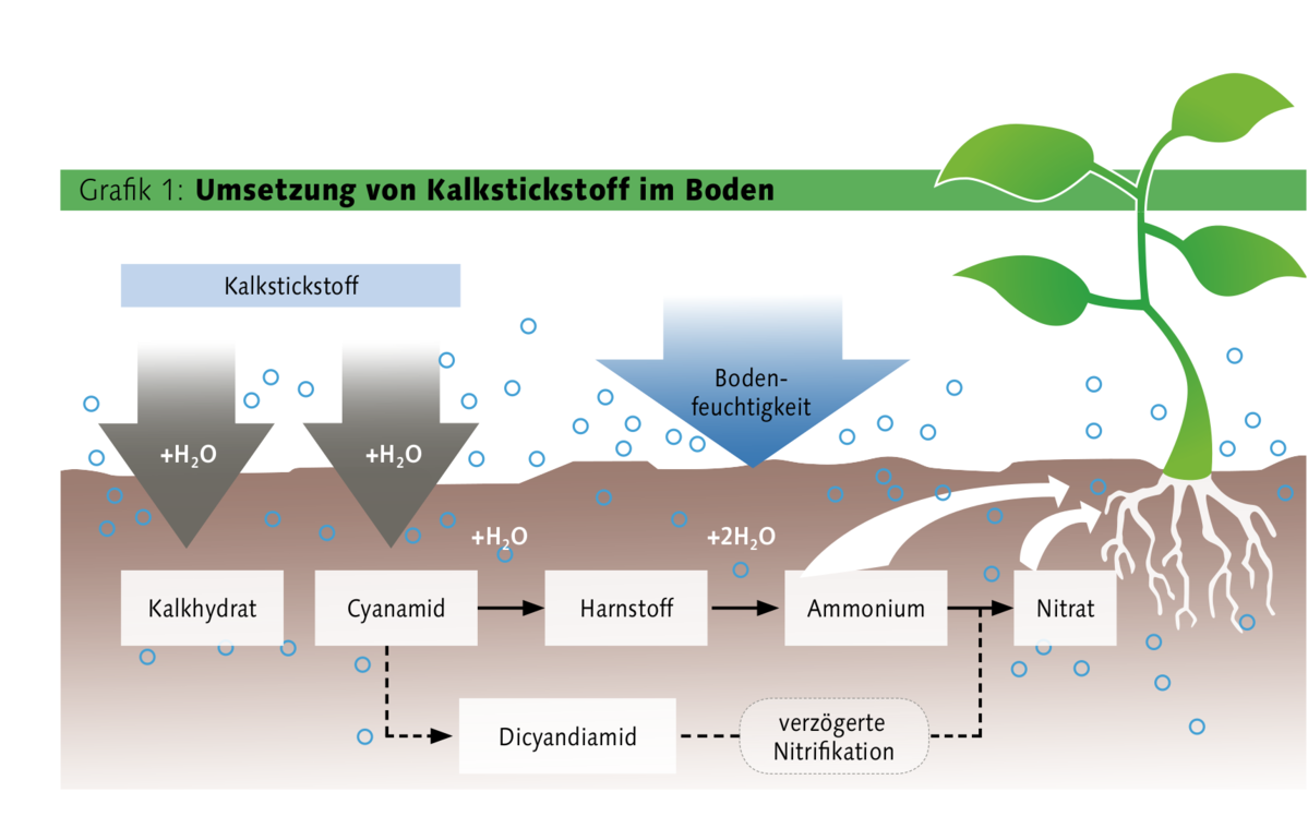 Kalkstickstoff Dünger mit Sonderwirkung