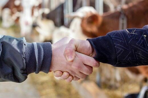 Scelle la poignée de main le prix et la garantie ?