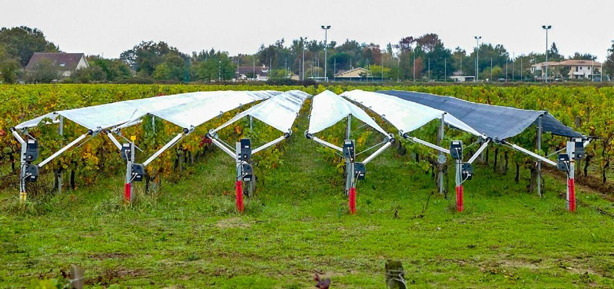 Der Viti-Tunnel ist ein Schutzsystem, mit dem bei drohendem Regen oder Hagel die Rebenzeilen abgedeckt werden k&#xF6;nnen.