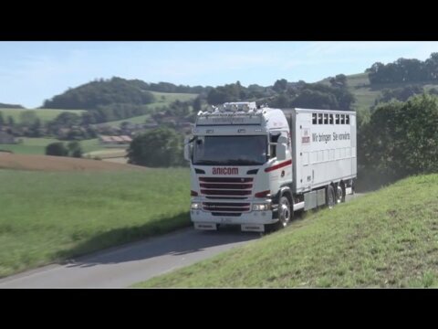 Anicom: Neue Wege im Tiertransport