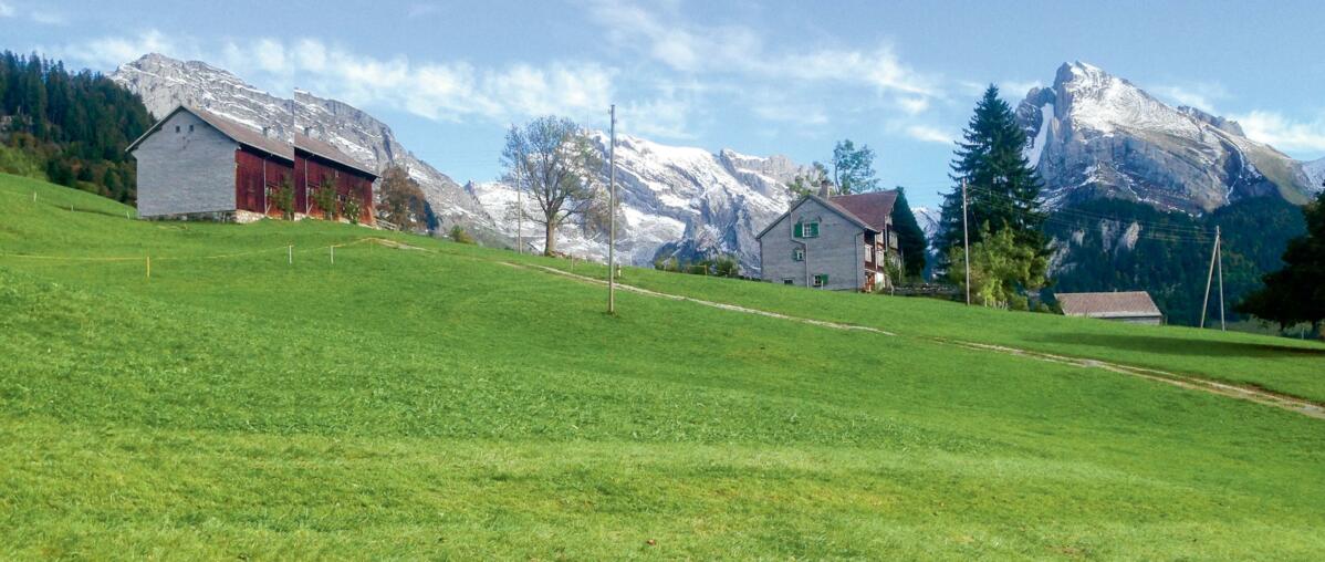 Si un contrat de bail à ferme est résilié de manière anticipée, le bailleur doit dédommager le fermier pour la recherche d...