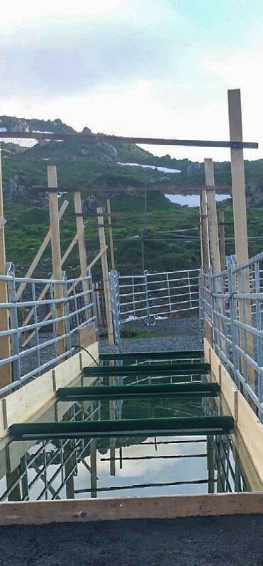 Les p&#xE9;diluves peuvent &#xE9;galement &#xEA;tre utilis&#xE9;s dans certaines conditions particuli&#xE8;res, comme c&#x2019;est le cas ici dans un al...