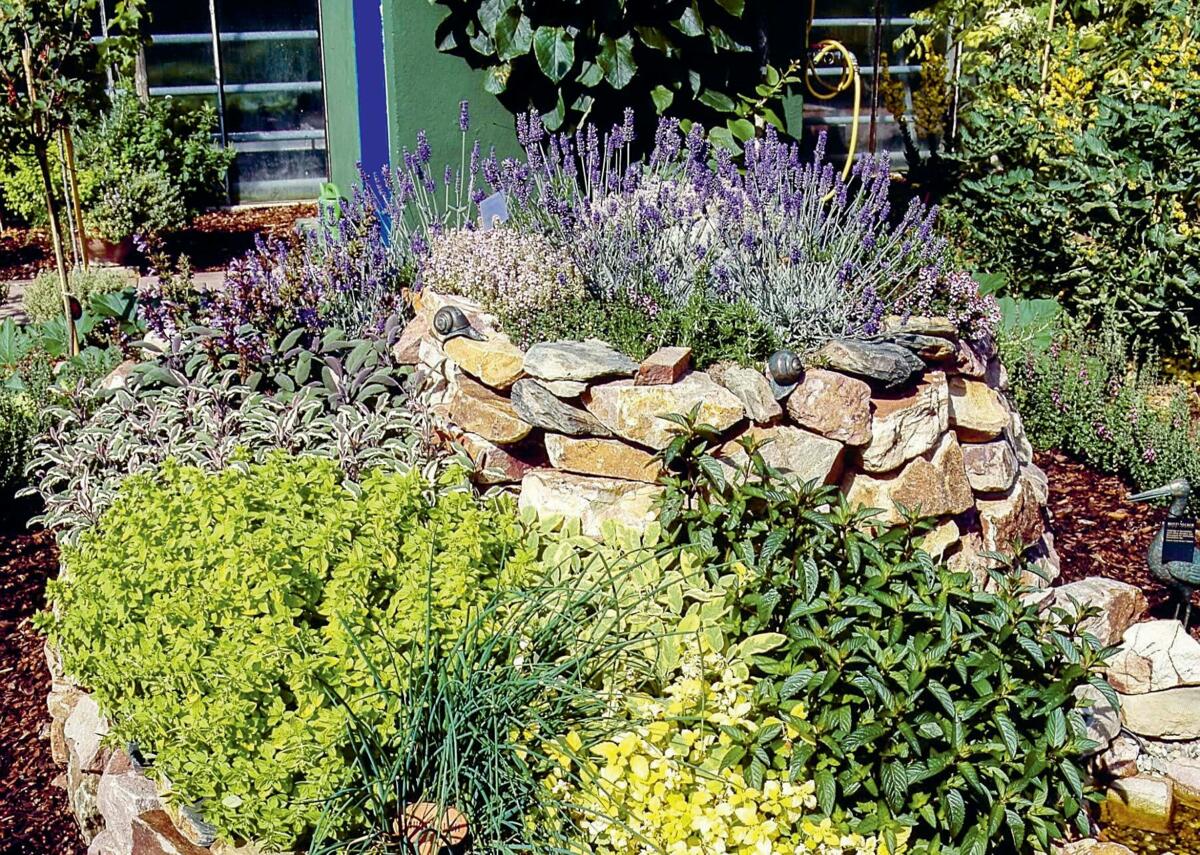 Spirales de fines herbes color&#xE9;es: la bonne place pour chaque plante aromatique.