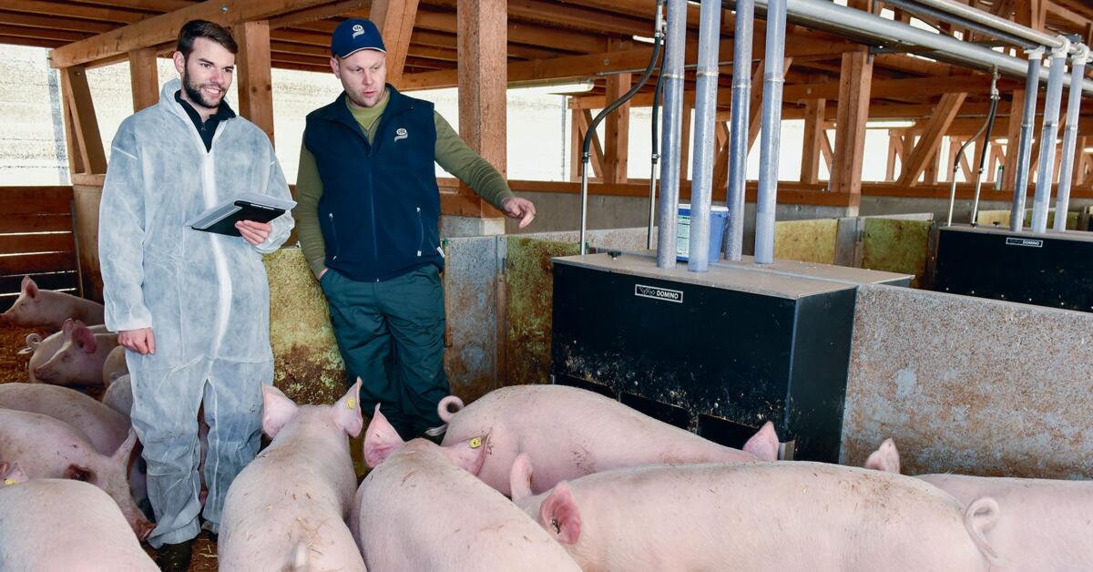 Identifier rapidement les potentiels et réagir immédiatement.