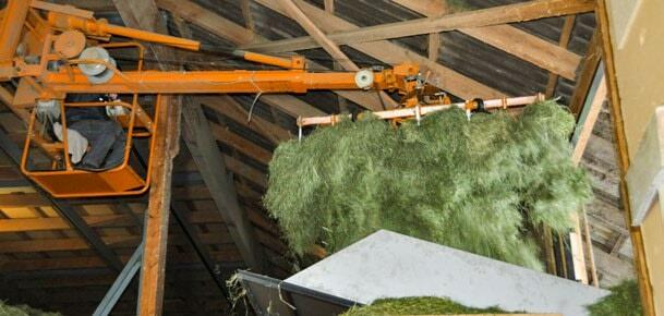 Cette ann&#xE9;e, il est particuli&#xE8;rement important d&#x2019;estimer correctement les stocks.