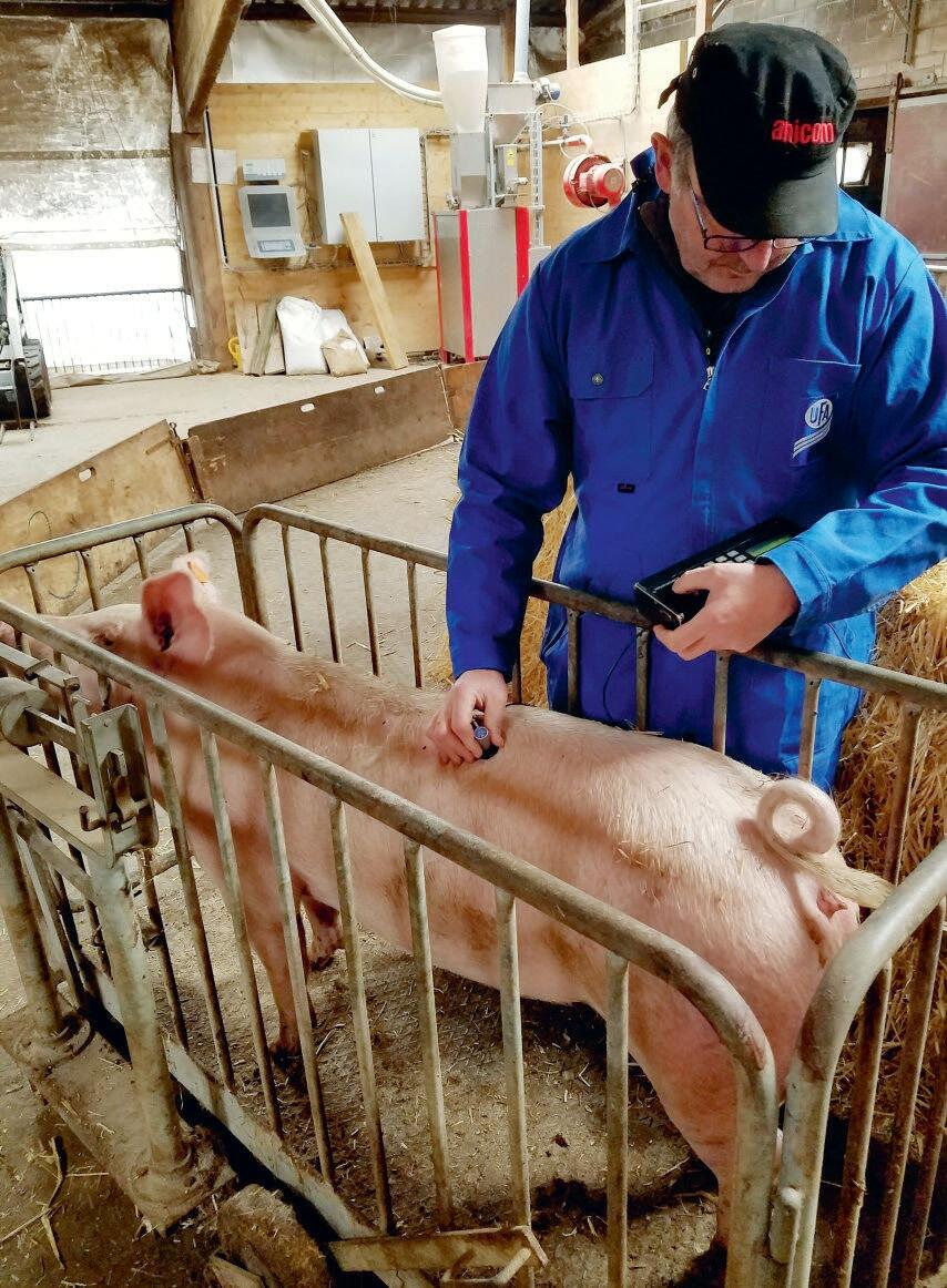 Les zootechniciens d&#x2019;UFA effectuent pr&#xE8;s de 20 000 &#xE9;preuves sur le terrain.