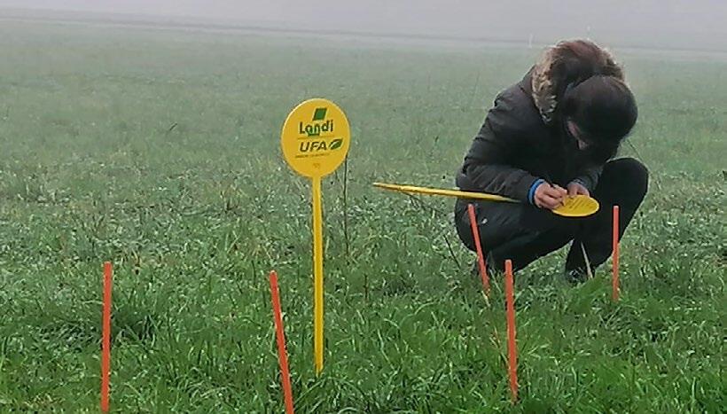 Die wissenschaftlich begleiteten PestiRed-Versuche werden wichtige Ergebnisse f&#xFC;r eine nachhaltigere Landwirtschaft geben.