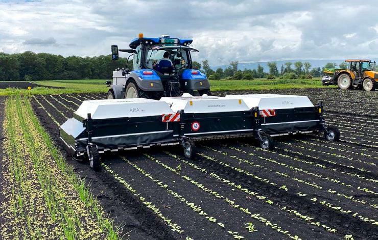 Premier traitement dans les haricots nains avec Ara d&#x2019;EcoRobotix.