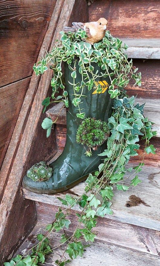 Bottes végétales