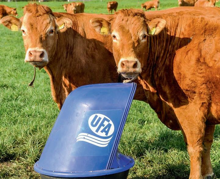 UFA-Microfeeder facilite la compl&#xE9;mentation min&#xE9;rale au p&#xE2;turage. Renseignez-vous aupr&#xE8;s de votre LANDI.
