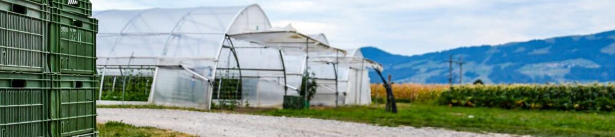 Diversifizierung bietet Potenzial