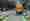 combined_7568223_0_7568224_0.jpg