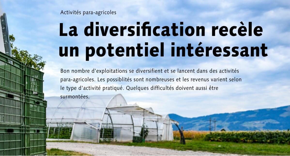 La diversification recèle un potentiel intéressant