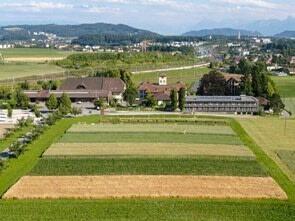 Die Dauerbeobachtungsfläche Oberacker am Inforama
Rütti 
in Zollikofen (BE). 