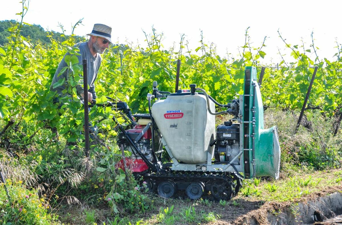 Une chenillette est capable de tourner sur une surface très restreinte et permet de travailler dans les lignes étroites. 