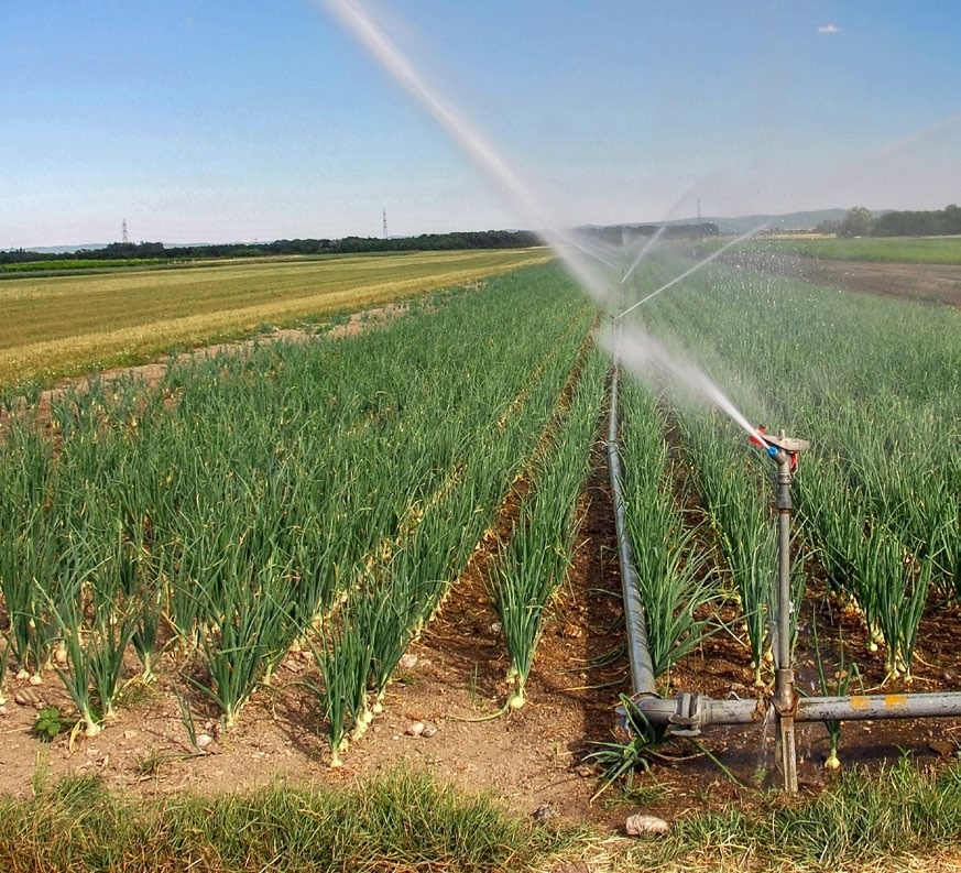 Comparaison de systèmes d’irrigation Revue UFA