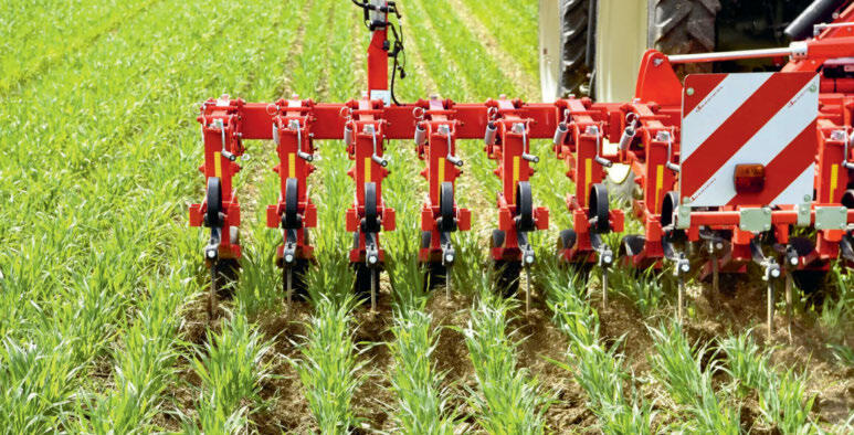 Der Reihenabstand und die Arbeitsbreite der S&#xE4;maschine sowie des Hackger&#xE4;ts m&#xFC;ssen &#xFC;bereinstimmen. Bild: Einb&#xF6;ck