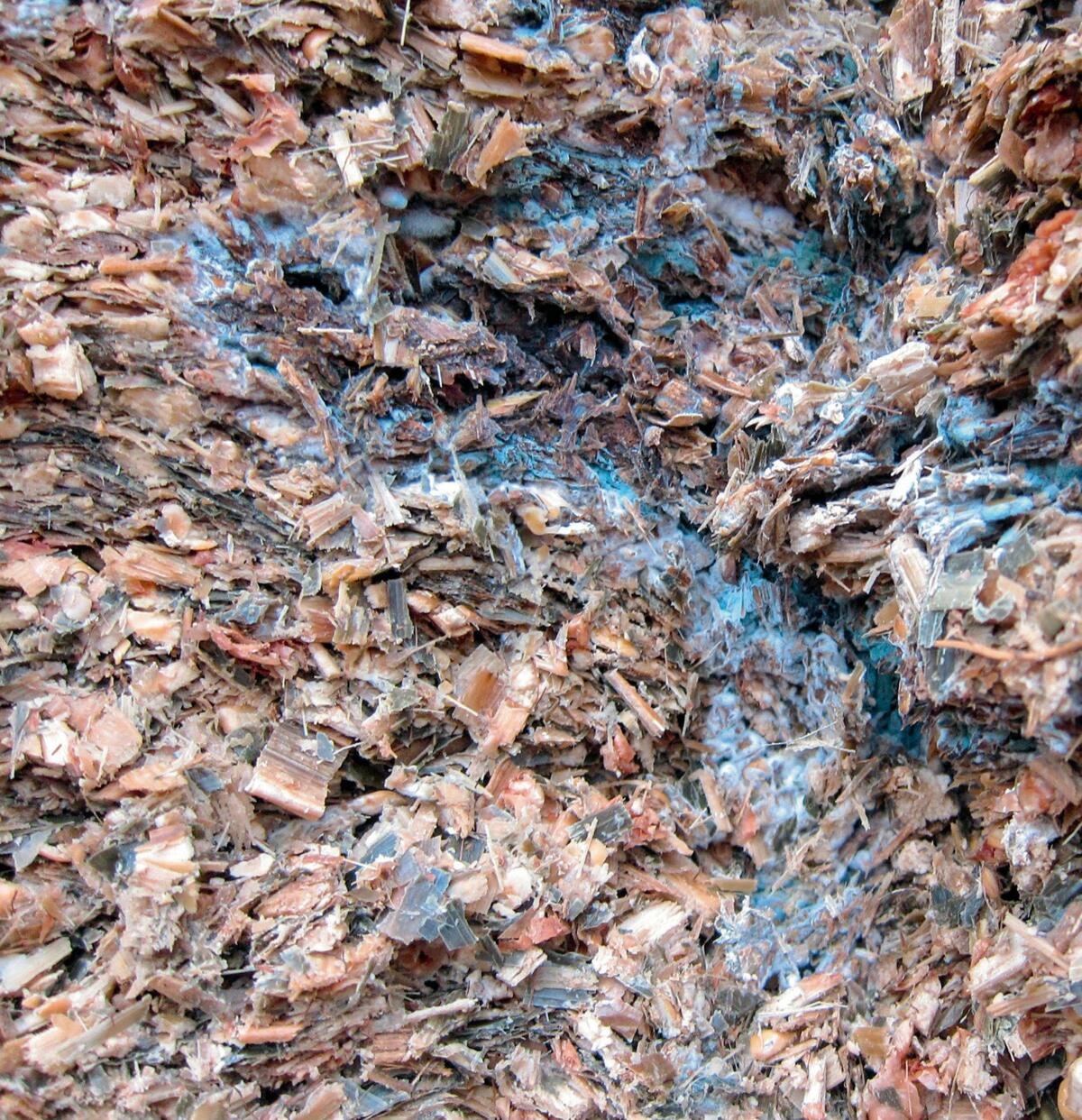 Erw&#xE4;rmte, verschimmelte Silage schw&#xE4;cht die Immunabwehr und darf deshalb