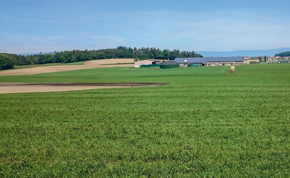 Auf dem Betrieb von Frédéric Zosso in Cournillens findet der Bio-Ackerbautag 2017 statt.