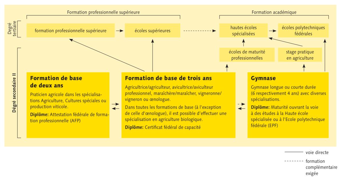 Plusieurs voies pour la formation de base