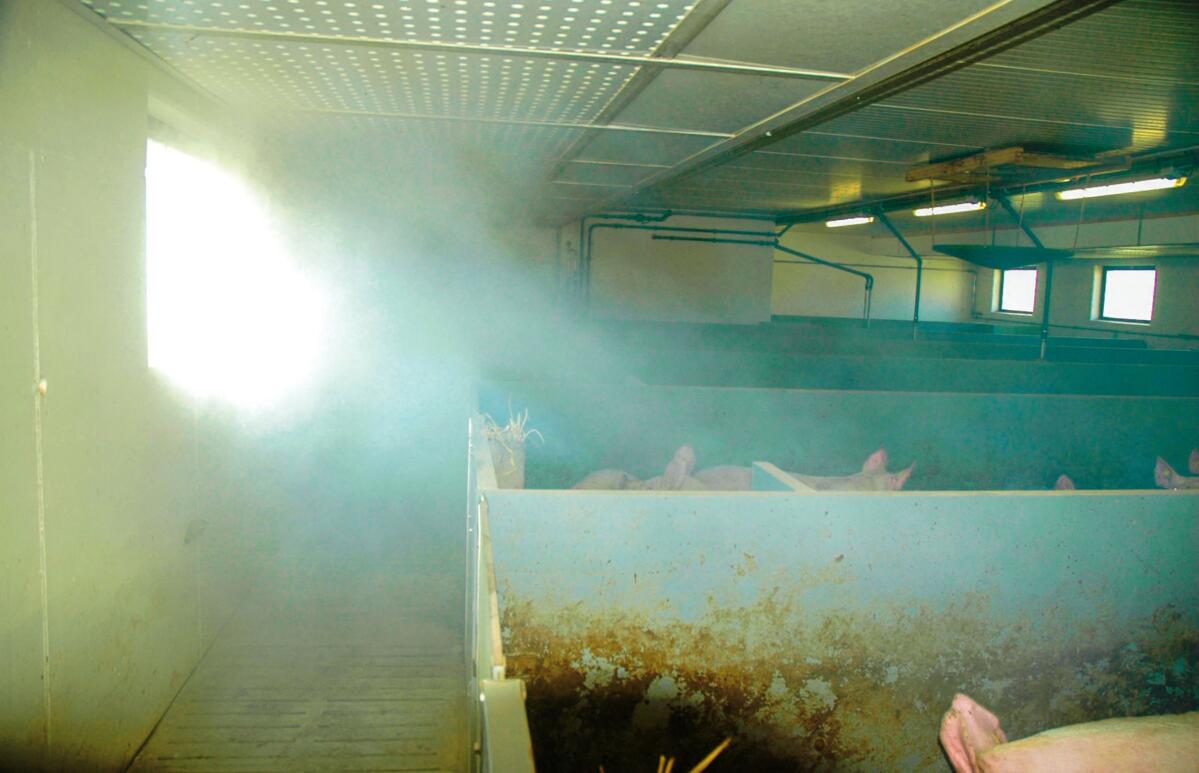 Les courants d&#x2019;air peuvent &#xEA;tre d&#xE9;cel&#xE9;s &#xE0; l&#x2019;aide de fumig&#xE8;nes.