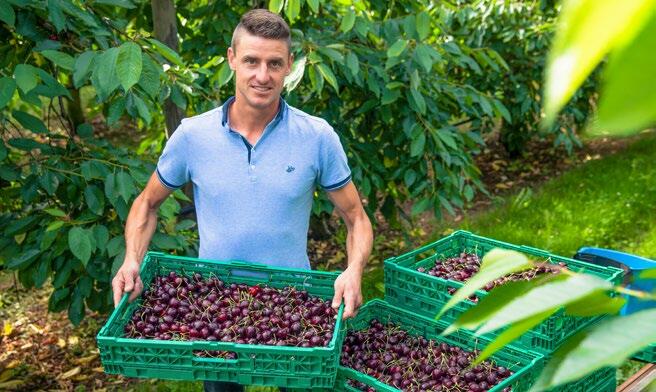 Depuis 2018, fenaco fait profiter de son r&#xE9;sultat aux membres des LANDI. L&#x2019;exploitation de Konrad Stocker, producteur de fruits, fait partie...