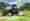 combined_7461082_0_7461083_0.jpg