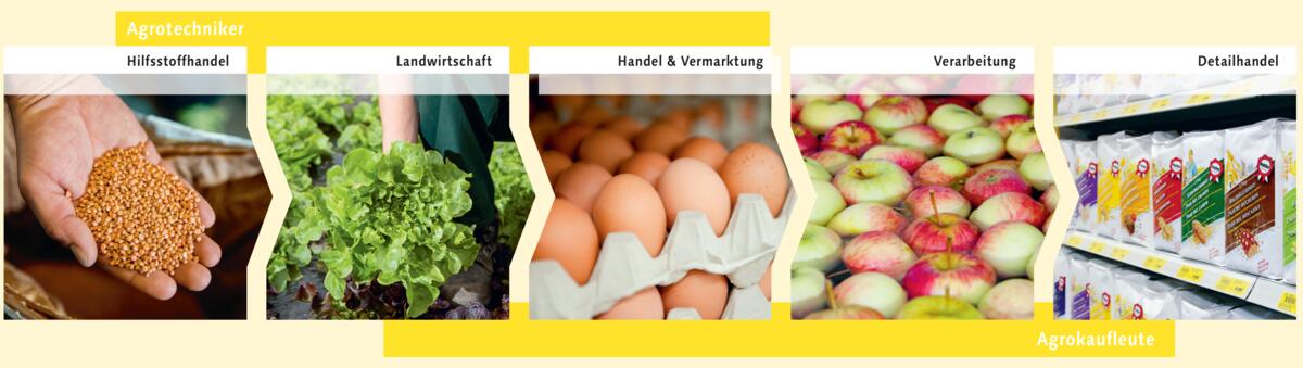 In der gesamten landwirtschaftlichen Wertschöpfungskette finden
Agrotechniker und Agrokaufleute ihre Stellen.