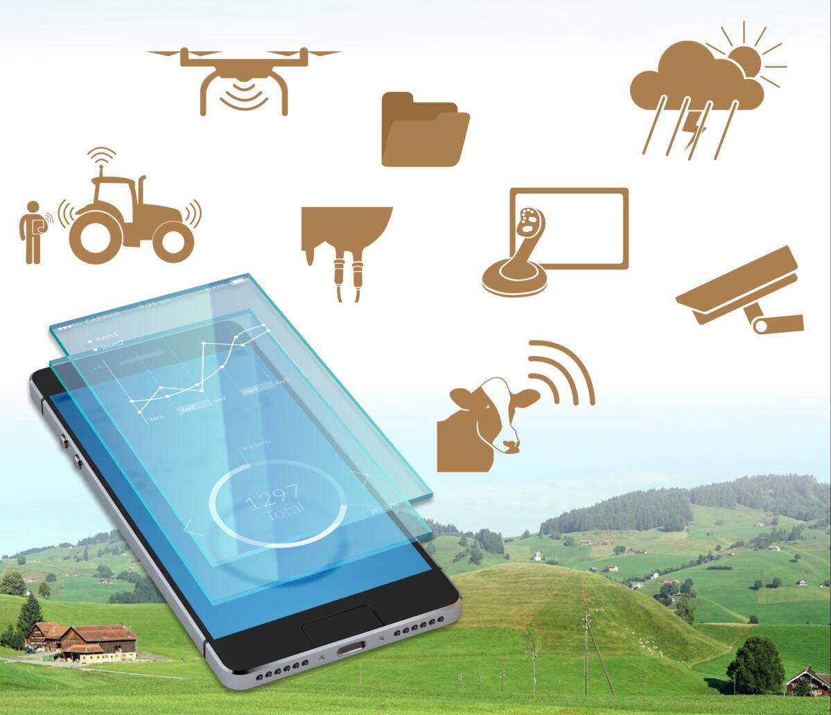 La numérisation se poursuit