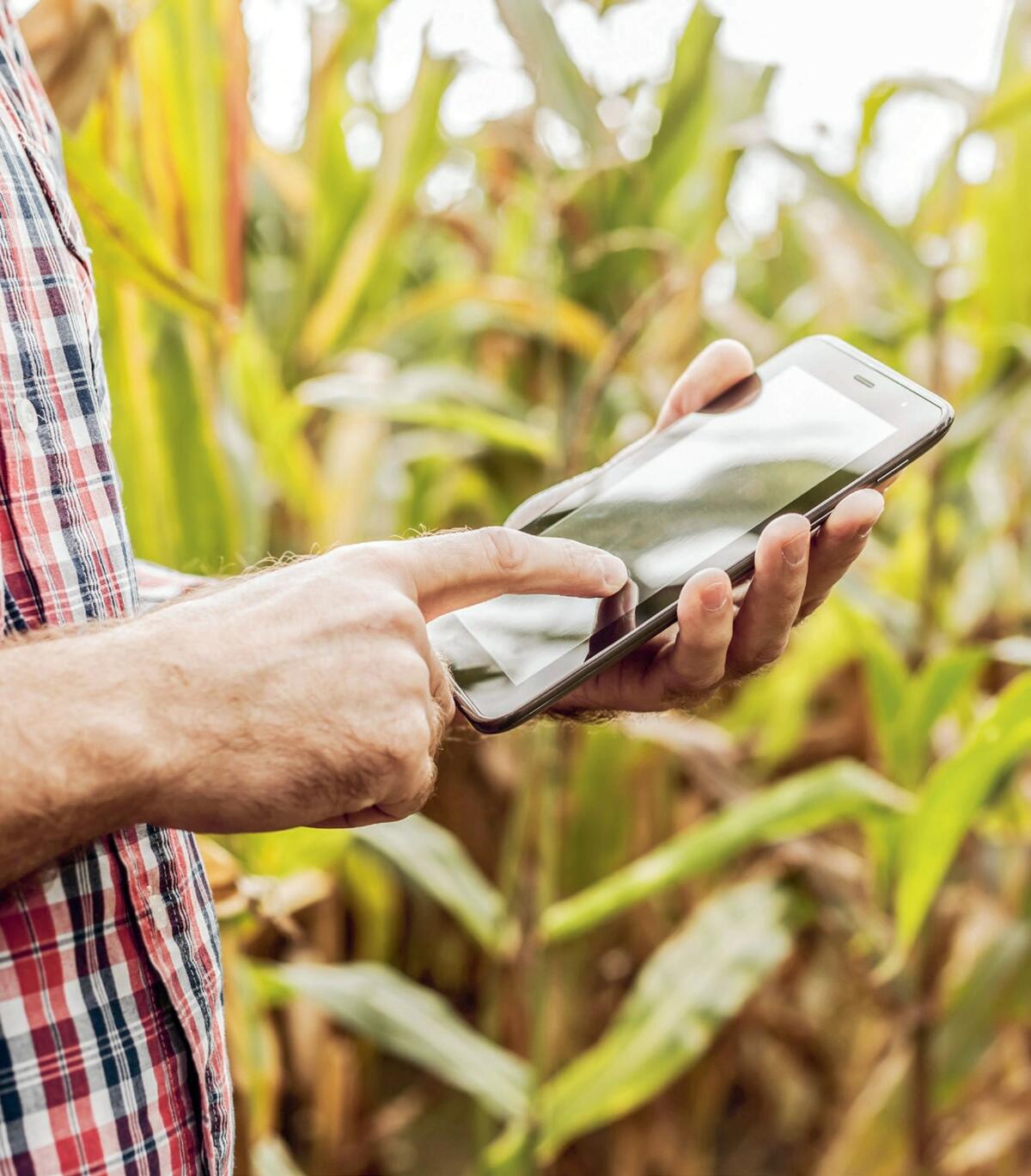 Smart Farming heisst Produktionsprozesse digital zu planen, zu
steuern, zu erfassen und zu dokumentieren.