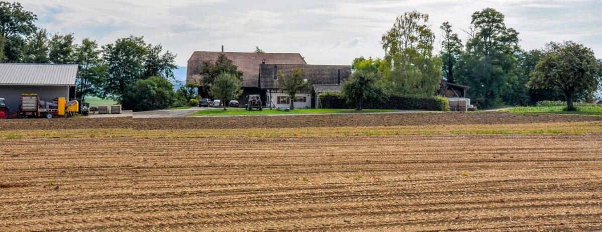 Das BGBB will das bäuerliche Grundeigentum fördern, den
Familienbetrieb erhalten, die Stellung der Selbstbewirtschafter
stärken und ü...
