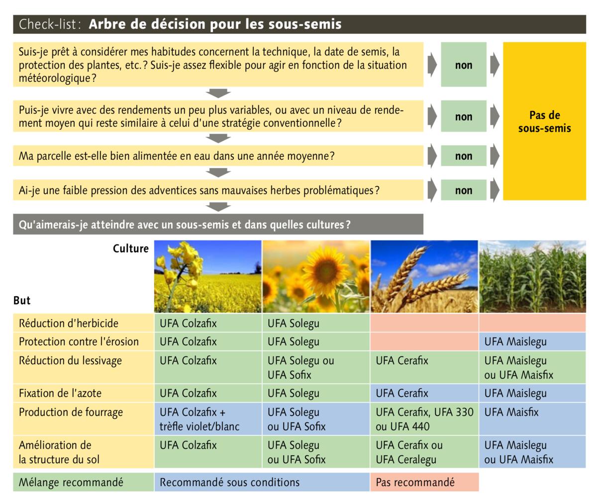 Zoom sur le sous-semis