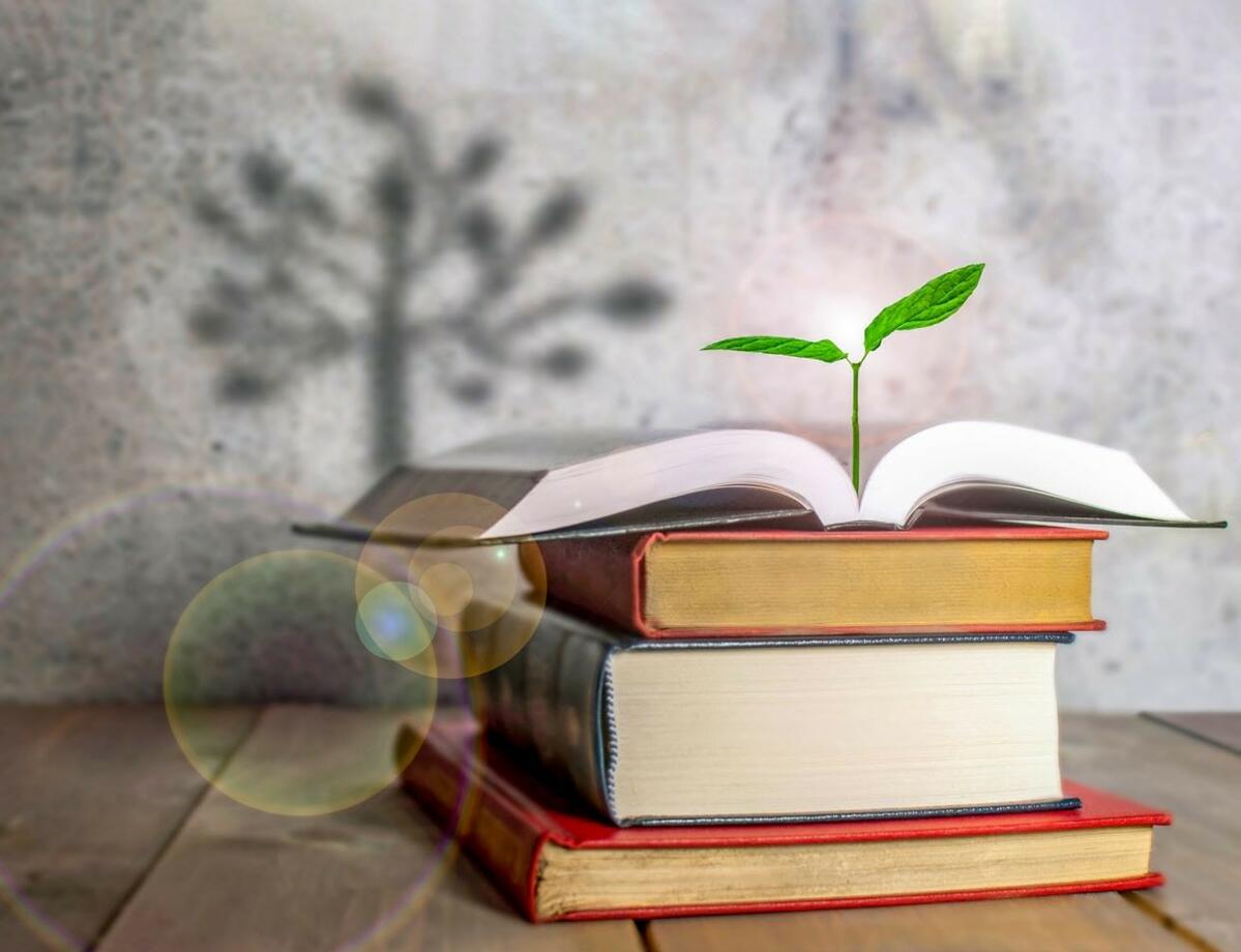 Eine praxisorientierte Ausbildung für die Agrarbranche