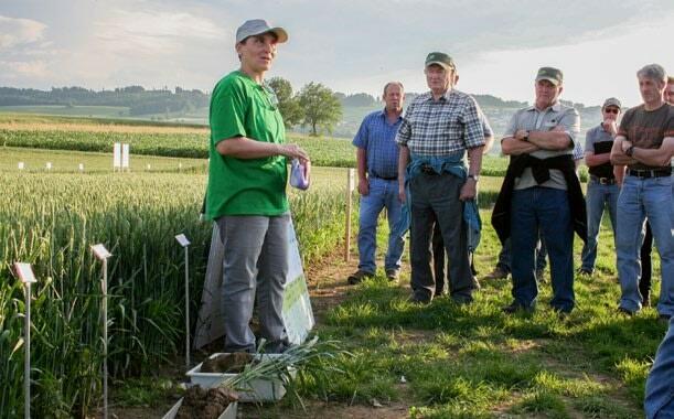 Le centre agricole du Liebegg (AG) a compar&#xE9; diverses techniques de semis, avec ou sans travail du sol.