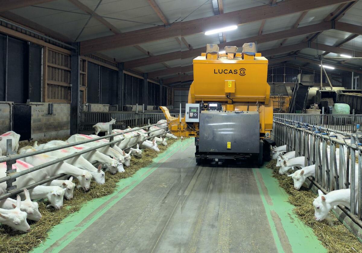 Mit dem Fütterungsroboter I-Ron-Mix wird das Futter verteilt und die Boxen können mit Stroh eingestreut werden. 