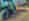 alt_text