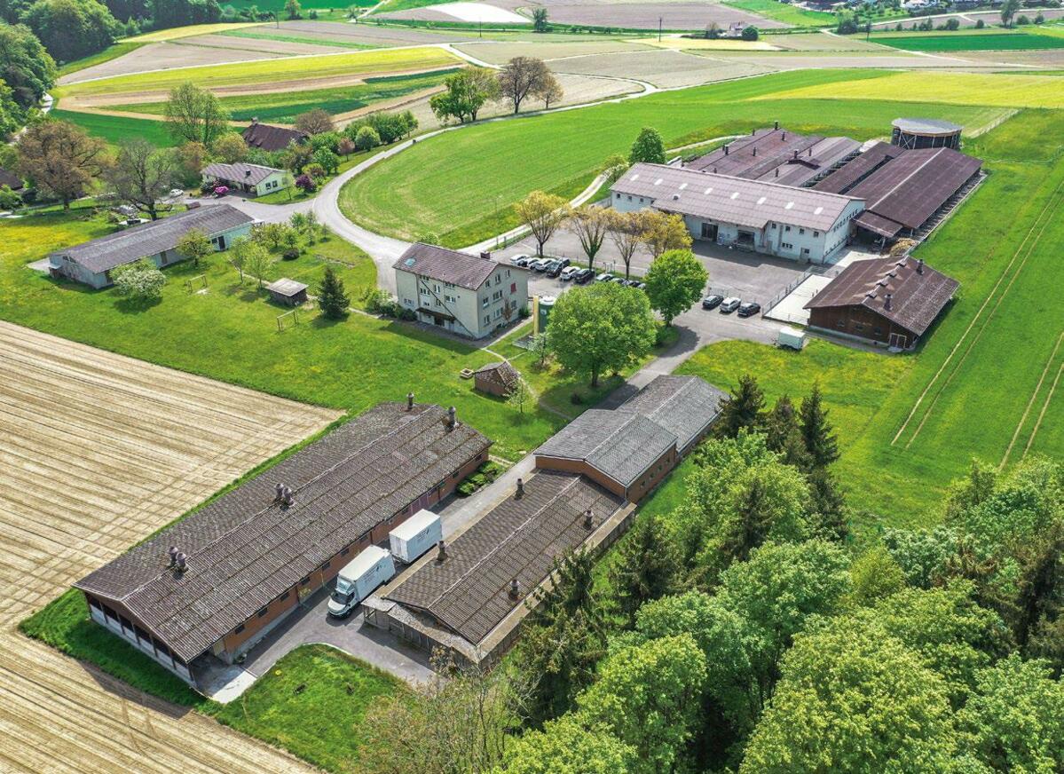 UFA-B&#xFC;hl forscht f&#xFC;r eine effiziente, wirtschaftliche und tiergerechte F&#xFC;tterung.&#xA0;