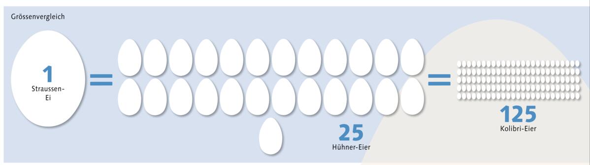 Phänomen im Kalkmantel